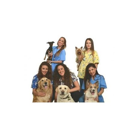 Ayudante veterinario
