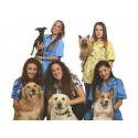 Ayudante de Veterinaria