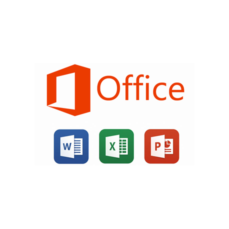 Ofimática Básica: Word, Excel y Power Point 2010 (Online)