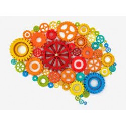 Neurorehabilitación