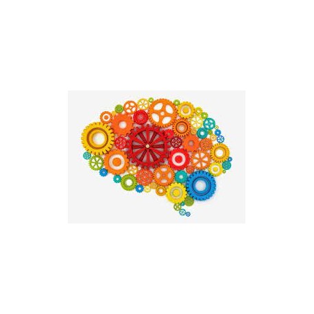 Neurorehabilitación