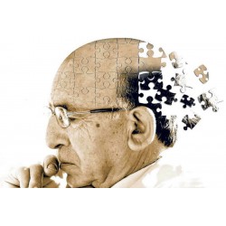 Especialista en Estimulación Cognitiva en la Enfermedad de Alzheimer