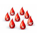 Técnico en Hematología y Hemoterapia