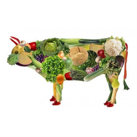 Especialista en Dietética Vegetariana Saludable