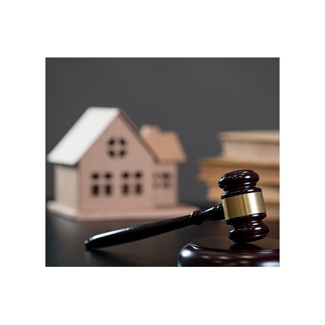 Técnico Profesional en Derecho Inmobiliario