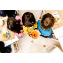 Técnico en Nutrición Infantil para Comedores Escolares y Guarderías Infantiles