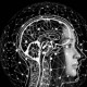 Especialista en Neuroanatomía y Neurología Funcional