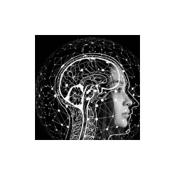 Especialista en Neuroanatomía y Neurología Funcional
