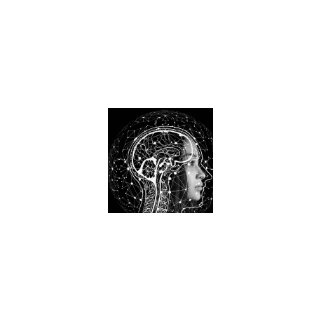 Especialista en Neuroanatomía y Neurología Funcional