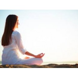 Especialista en Meditación Vipassana