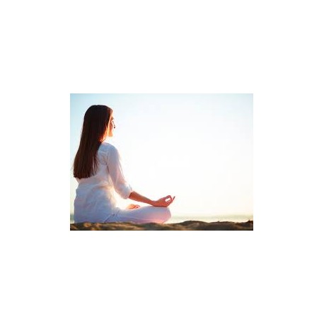 Especialista en Meditación Vipassana