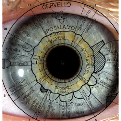 Curso en Iridología