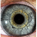 Curso en Iridología