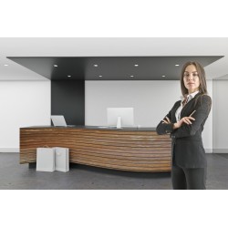 Recepcionista-telefonista en Oficinas