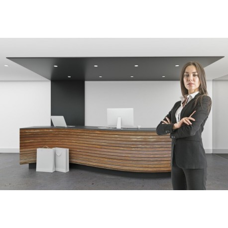 Recepcionista-telefonista en Oficinas