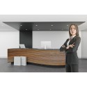 Recepcionista-telefonista en Oficinas