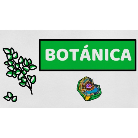 Botánica y Taxonomía Vegetal