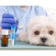 Especialista en Farmacia Veterinaria