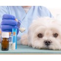 Especialista en Farmacia Veterinaria