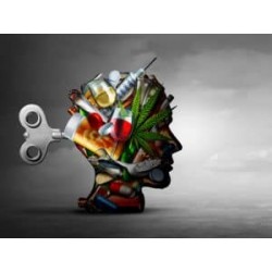 Curso Superior en Intervención Social en Drogodependencia y Otras Adicciones
