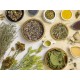 Herbodietética Fitoterapia y Herboristería +  Dietética y Nutrición 