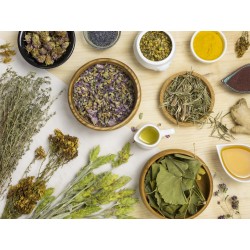Herbodietética Fitoterapia y Herboristería +  Dietética y Nutrición 