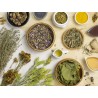 Herbodietética Fitoterapia y Herboristería +  Dietética y Nutrición 